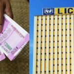 LIC Investment Plan