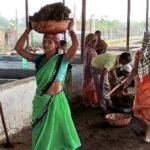 वर्मी कम्पोस्ट