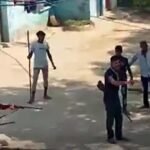 Murder Case