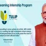 Clean Tulip Internship
