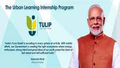 Clean Tulip Internship