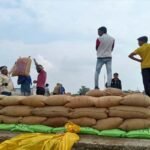 धान उठाव