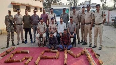 चंदन लकड़ी की तस्करी