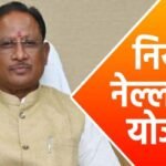 नियद नेल्लानार योजना
