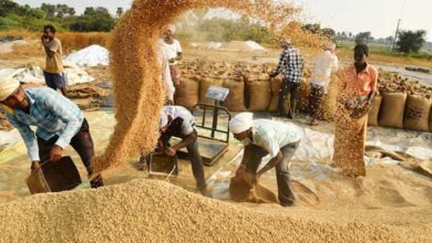 Paddy purchase in Chhattisgarh