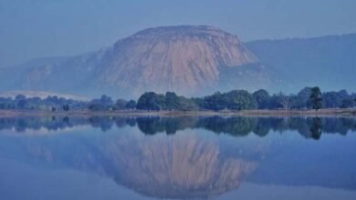 वैश्विक पर्यटन